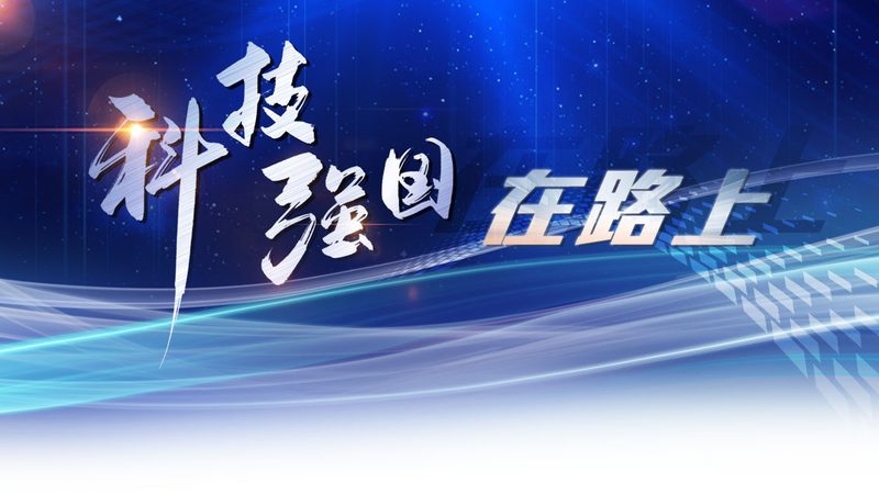 软件技术外包开发公司排名：揭秘行业选择标准