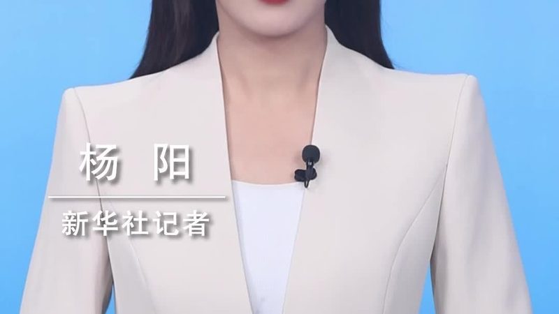 数据治理标准规范制定：关键注意事项与实施路径